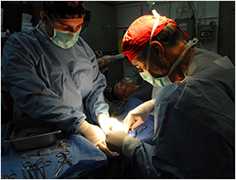 iStock_000008003914XLarge